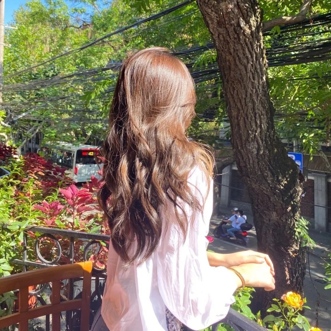春满兰宫